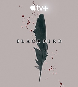 TEO_BlackBird_Poster_0001.jpg